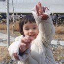 [영종 핫플]갬성 가득 스왈로우카페 방문 후기