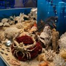 땅끝해양자연사박물관 이미지