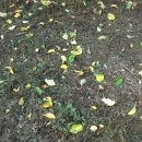 병환농장 이미지