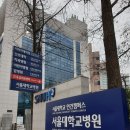 서울대학교 이미지