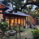 푸른맘예능어린이집 이미지