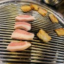 숙이네포장마차무실점 | 원주 무실동 껍데기 맛집 박달박가네숯불껍데기