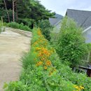 당진힐링펜션 이미지