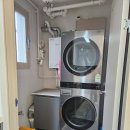 로얄트리 이미지