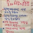 호피홀리데이 이미지