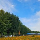 아리수로 25길 이미지