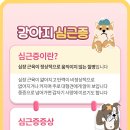 으뜸동물병원 이미지