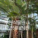 온양여인숙 | 부천식물원 자연생태공원 가는 길 야간개장