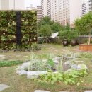 새소리유치원 이미지