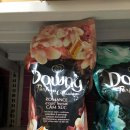 로드PC방 (ROAD PC방) | 팔라완 자유여행 4일차 휴호텔 Hue Hotel 후기(수영장 최고!) 및 팔라완 시장 올드 퍼블릭 마켓, UNITOP...