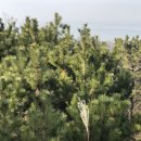 바닷가농원 이미지