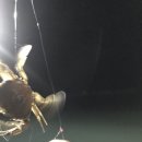 신암1리 이미지