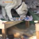 덕두농장 네이버블로그