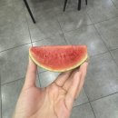 진안타이어 전문점 | 8월 시작했다 8월 끝났다