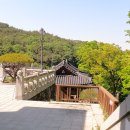 제이여행사