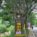 옥천 장령산 훼미리펜션 후기