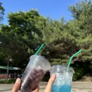 세븐일레븐 명일점 이미지