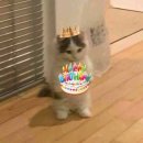 거마공원 | 수능끗-! 스믈하나〰️