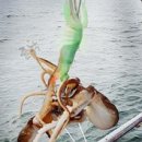 화성도시공사 전곡마리나 | 봄이면 당연히 쭈꾸미낚시죠~ 초보 가이드, 포인트 10곳과 꼭 챙길 준비물 정리 완벽정리