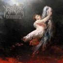 이몰레이션(Immolation) - Descent (2026) 이미지