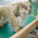 가좌종합동물병원 이미지