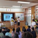 쌍림초교 이미지