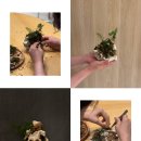 [10/25]가드닝 클래스 이미지