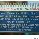 야밤 Daum카페