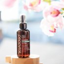 곱슬강아지 이미지