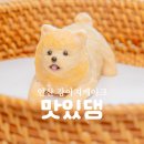 맛있댕 | 안산 강아지케이크 주문제작 맛집 맛있댕 후기! 애견 수제간식 생일케이크 추천