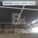 비둘기 | 실외기 비둘기퇴치, 성동구 아파트 비둘기퇴치 후기