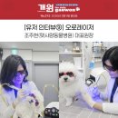 펫사랑동물병원 | 펫사랑동물병원 , 오로레이저 유저 인터뷰