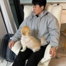가구밸리 | 캠프밸리 수유의자 + 스툴 내돈내산 후기｜가구백화점·지인 집 다 앉아보고 선택한 이유