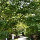 월산3리 | 남양주 월산리 숲속카페 더하이브 다녀온후기 서이추환영