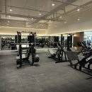 휘트니스 인앤아웃 이미지