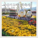 관광지순환버스(주) 노동조합 | 창원 가볼만한곳 마산 가고파 국화 축제 실시간 후기 꽃구경 기간 연장