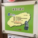 한라산도새기 이미지