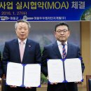 두우