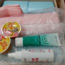 카페 캣츠 이미지