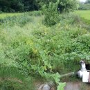 안곡농장 이미지