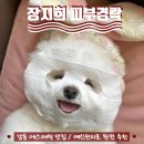 피부관리·경락(수) | [ωᥴ.4] 강동구 상일동 : 장지희 피부경락 솔직후기 예신관리 왕추천