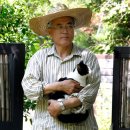 퍼스트독 이미지