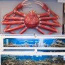 범천2동-15 이미지