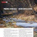 (주)코숨 이미지