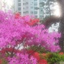 강남태평양약국 이미지