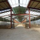 철원목장 이미지