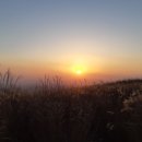 황매산미리내파크 오토캠핑장 | 황매산 오토캠핑장｜미리내파크 예약·명당·이용 꿀팁