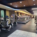 킹콩 피트니스 이미지