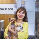 개버랜드 이미지