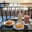 달보드레 이미지